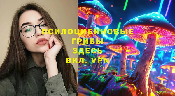 крисы Медногорск