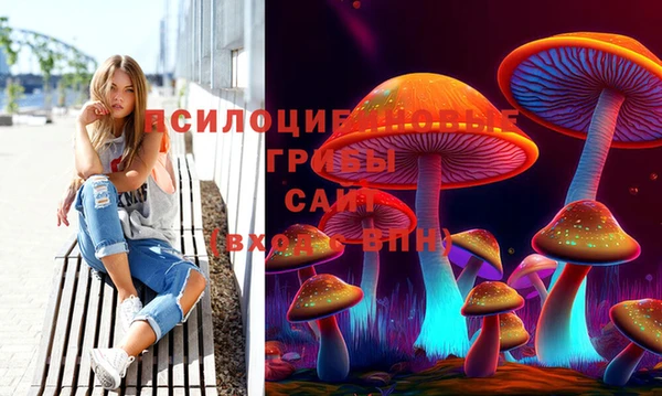 PSILOCYBIN Медвежьегорск