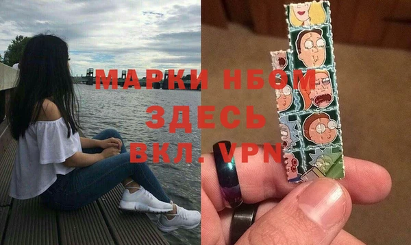 стаф Богданович