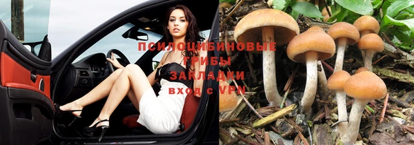 PSILOCYBIN Медвежьегорск