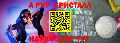 гидра Гагарин