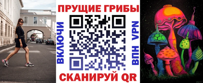 Псилоцибиновые грибы Psilocybe  даркнет сайт  Новочебоксарск 