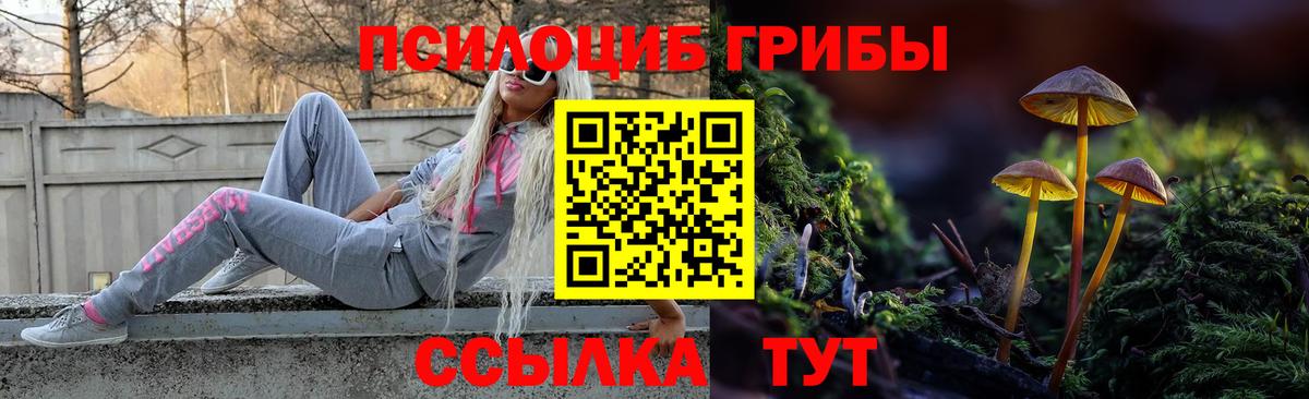 Галлюциногенные грибы мухоморы Новочебоксарск